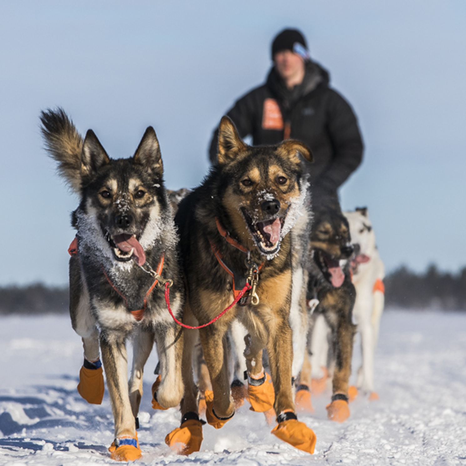 Status FL-1200: Nå har alle i tet tatt «16-timers»