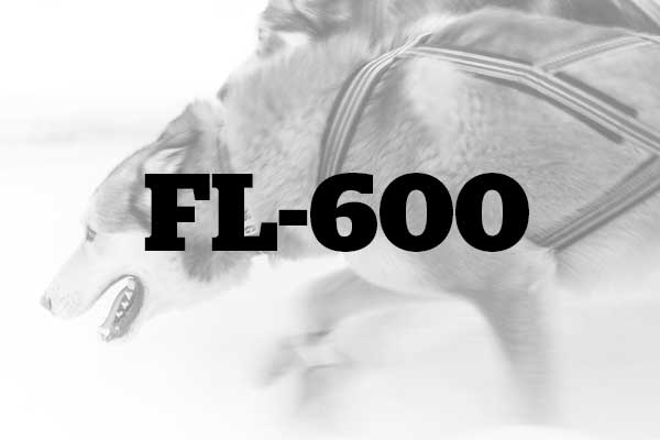 Updated trail FL-600