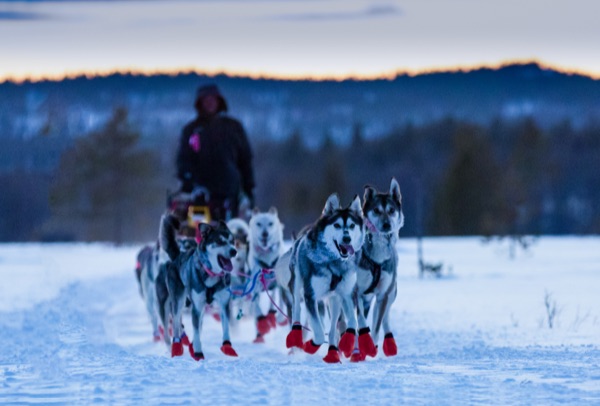 Finnmarksløpet 2020 – Hva skjer tirsdag 10. mars?