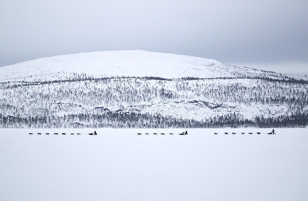 Registration for FL-2021 starts soon