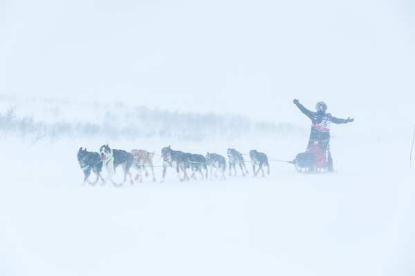 Tidenes tålmodighetsprøve