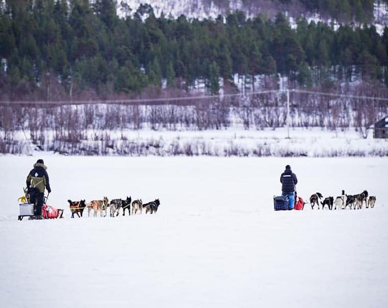 GPS tracking under løpet